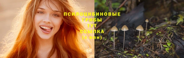трава Белоозёрский