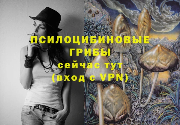 молекула духа Белокуриха