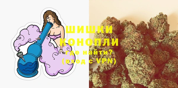 молекула духа Белокуриха