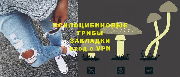 молекула духа Белокуриха